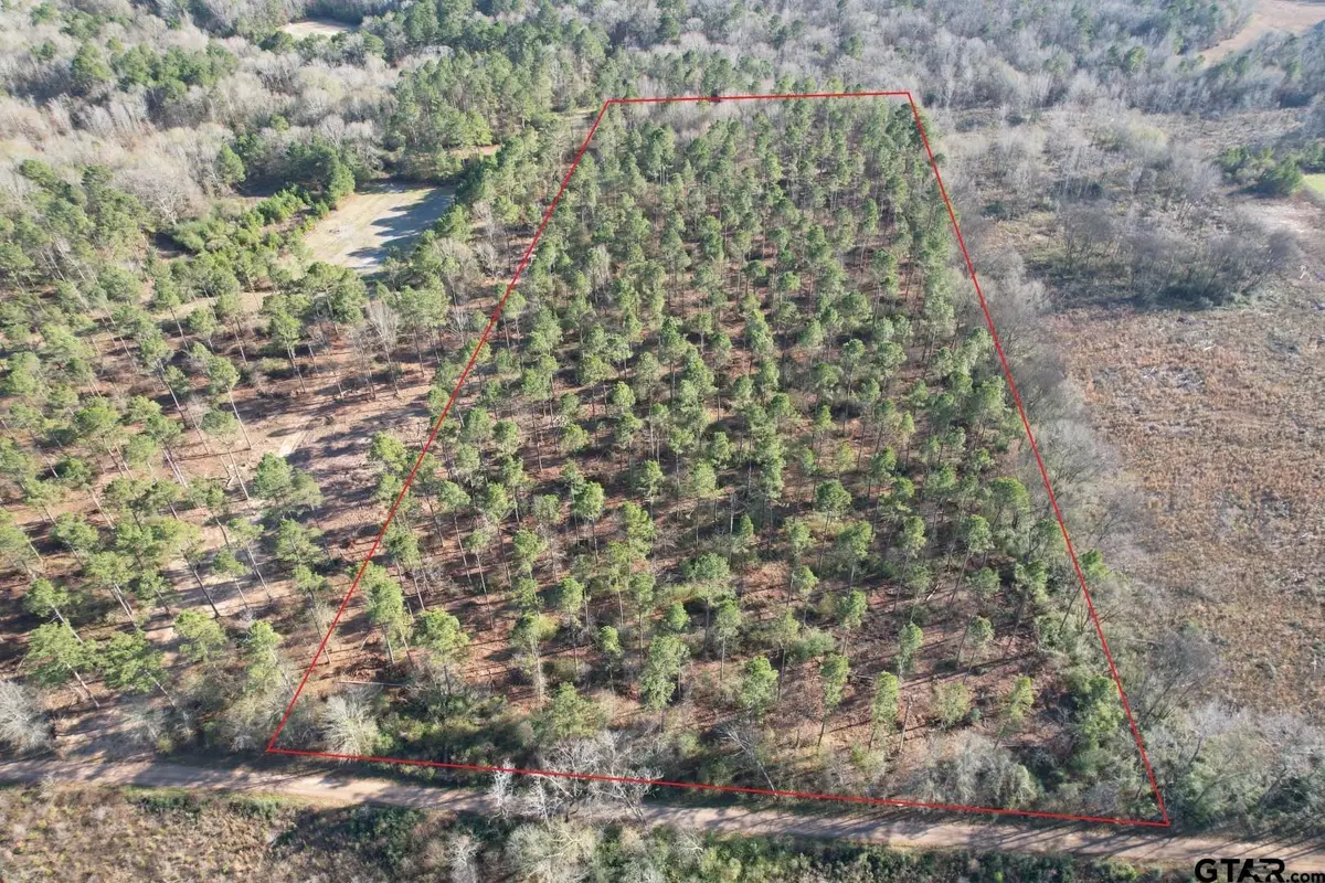 TBD-A County Road 216, Beckville, TX 75631 - Image #1