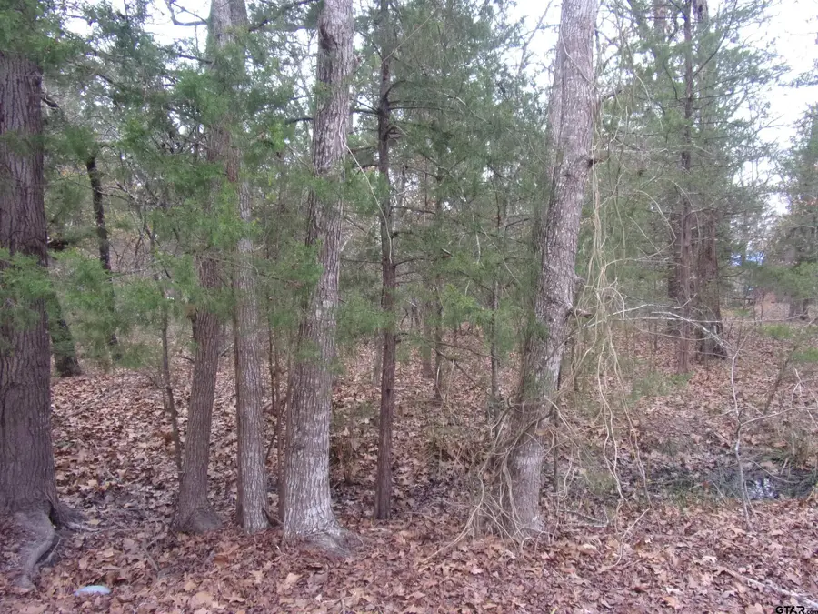 000 Hideaway, Murchison, TX 75778 - Image #3