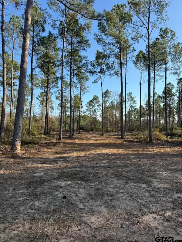 TBD-B County Road 216, Beckville, TX 75631