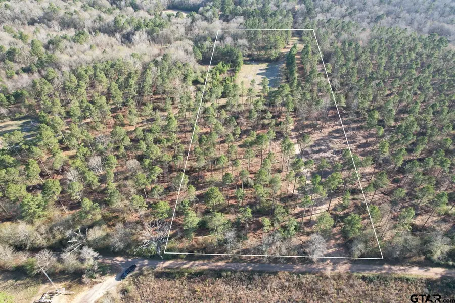 TBD-B County Road 216, Beckville, TX 75631 - Image #2