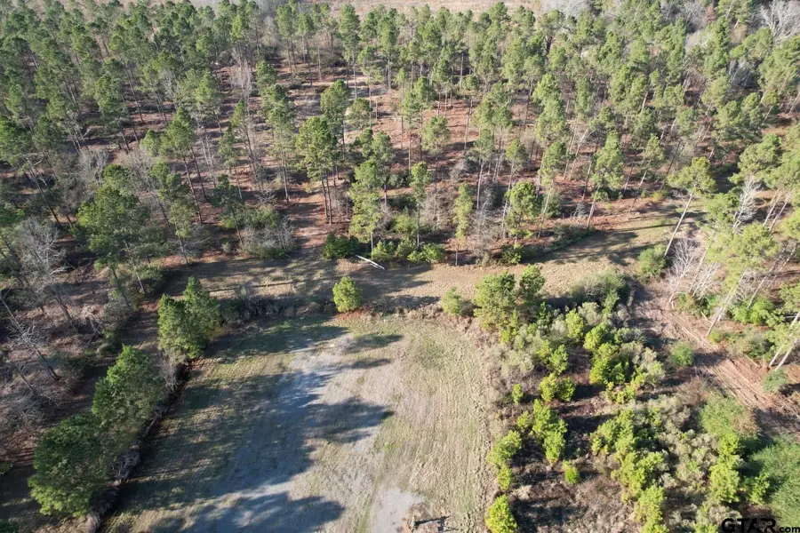 TBD-B County Road 216, Beckville, TX 75631 - Image #3