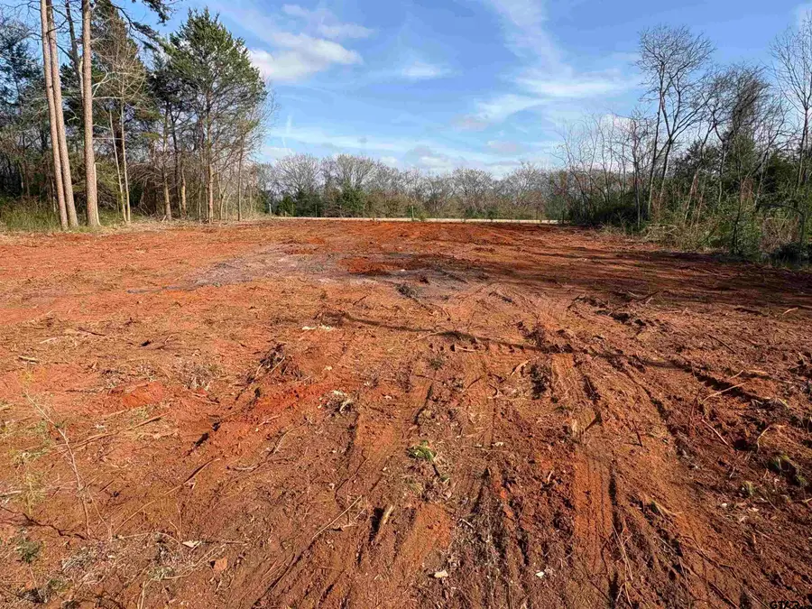 976 Brazos, Bullard, TX 75757 - Image #3