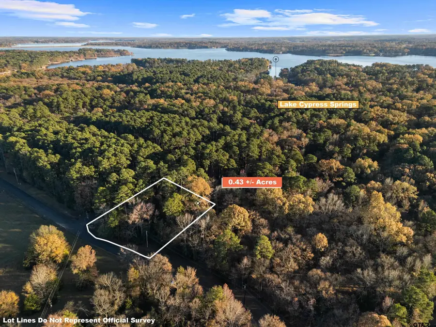 TBD Fawns Crossing, Mount Vernon, TX 75457 - Image #3