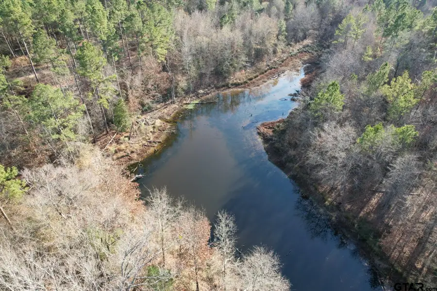 TBD-C County Road 216, Beckville, TX 75631 - Image #3