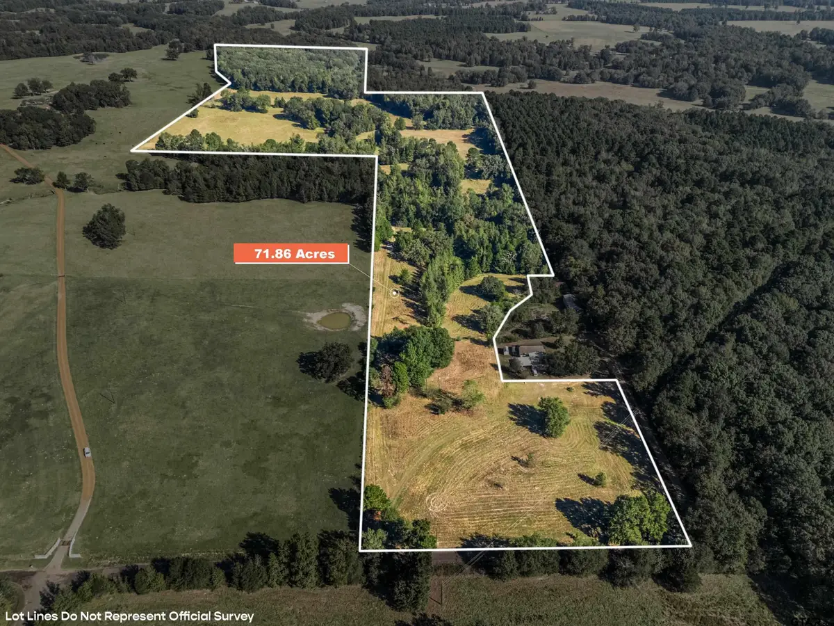 TBD Giraffe Rd, Gilmer, TX 75644 - Image #1