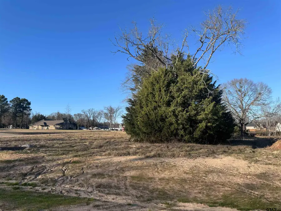 14001 Cedar Hill Lane (Lindale ISD), Tyler, TX 75704 - Image #2