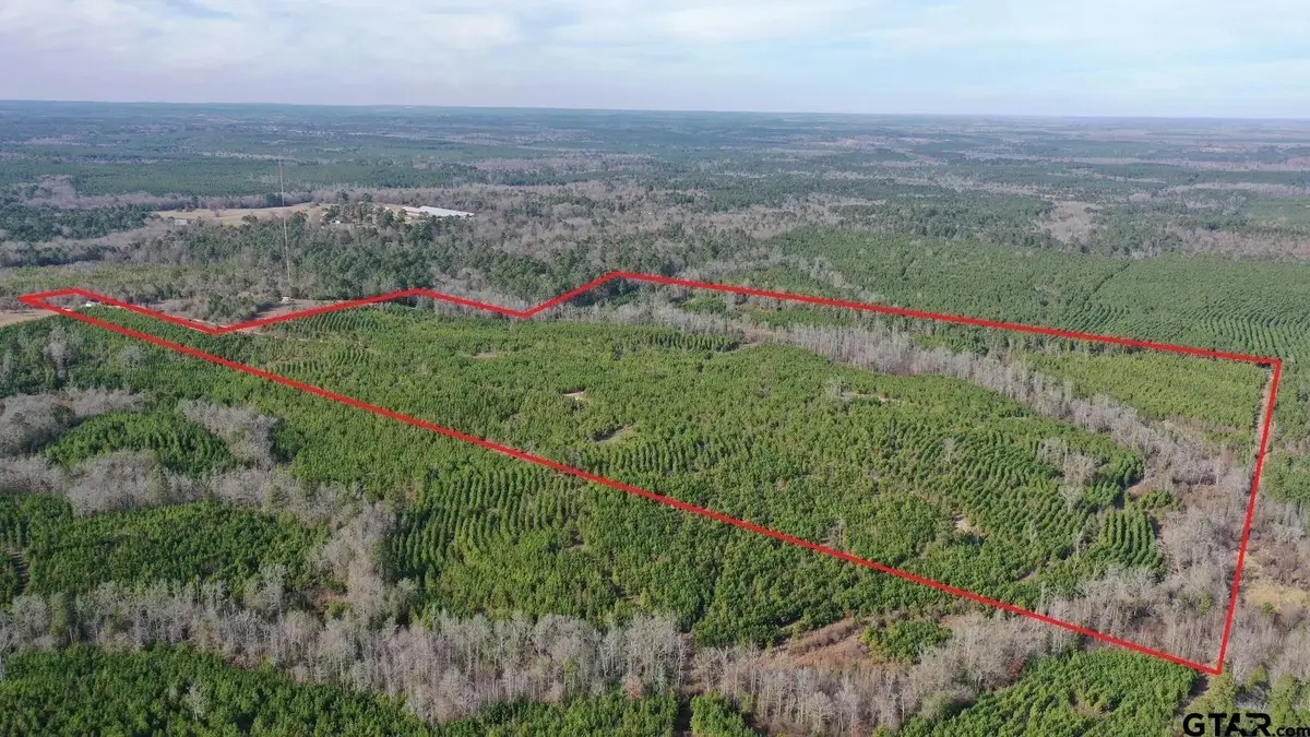 TBD Shady Grove Road, Jefferson, TX 75657 - Image #1