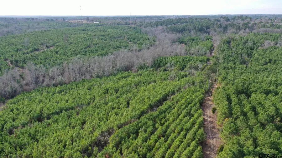 TBD Shady Grove Road, Jefferson, TX 75657 - Image #2