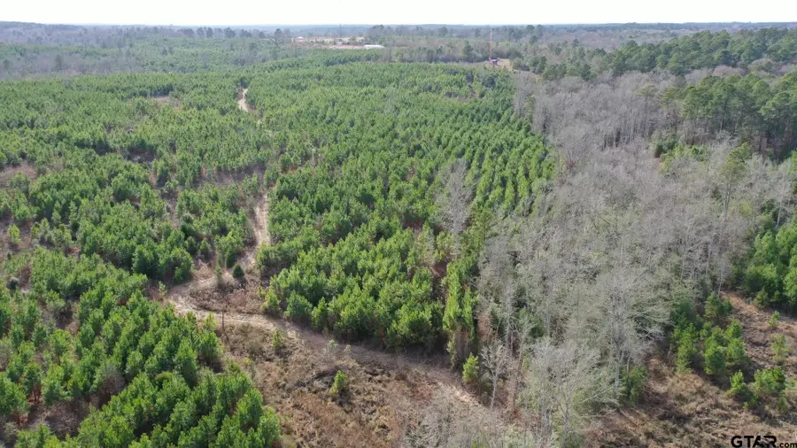 TBD Shady Grove Road, Jefferson, TX 75657 - Image #3