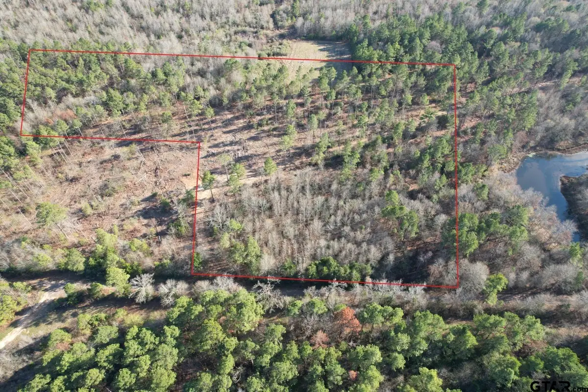 TBD-D County Road 216, Beckville, TX 75631 - Image #1