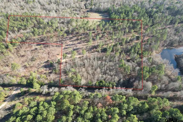 TBD-D County Road 216, Beckville, TX 75631