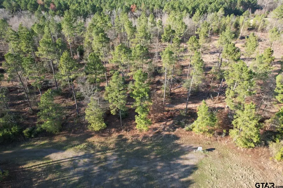 TBD-D County Road 216, Beckville, TX 75631 - Image #3