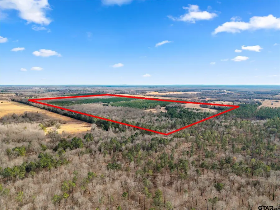 2116 CR 4314, Dalby Springs Simms, TX 75559 - #2