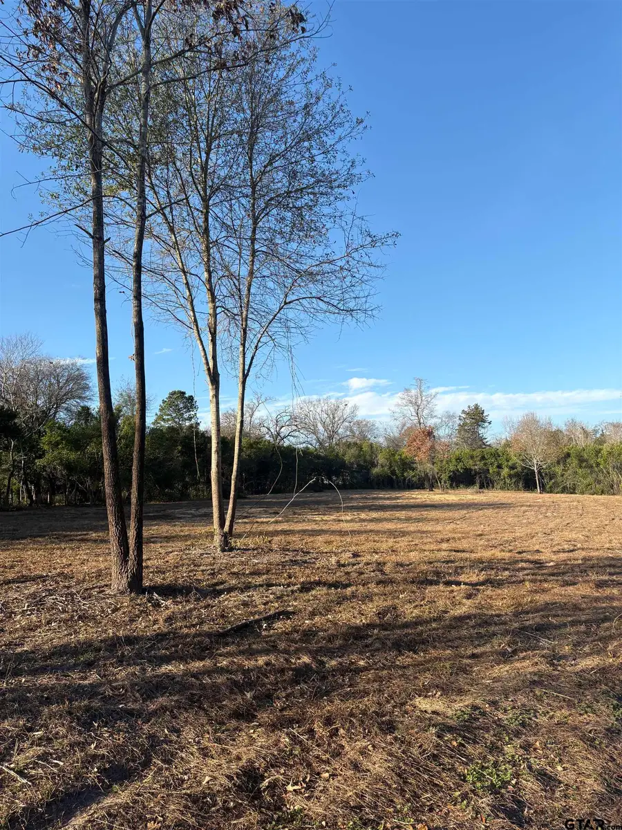 TBD Academy St, Rusk, TX 75785 - Image #3