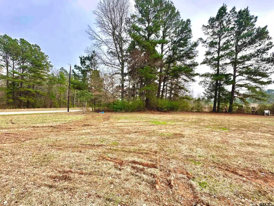 TBD CR 2154, Troup, TX 75789 - #2
