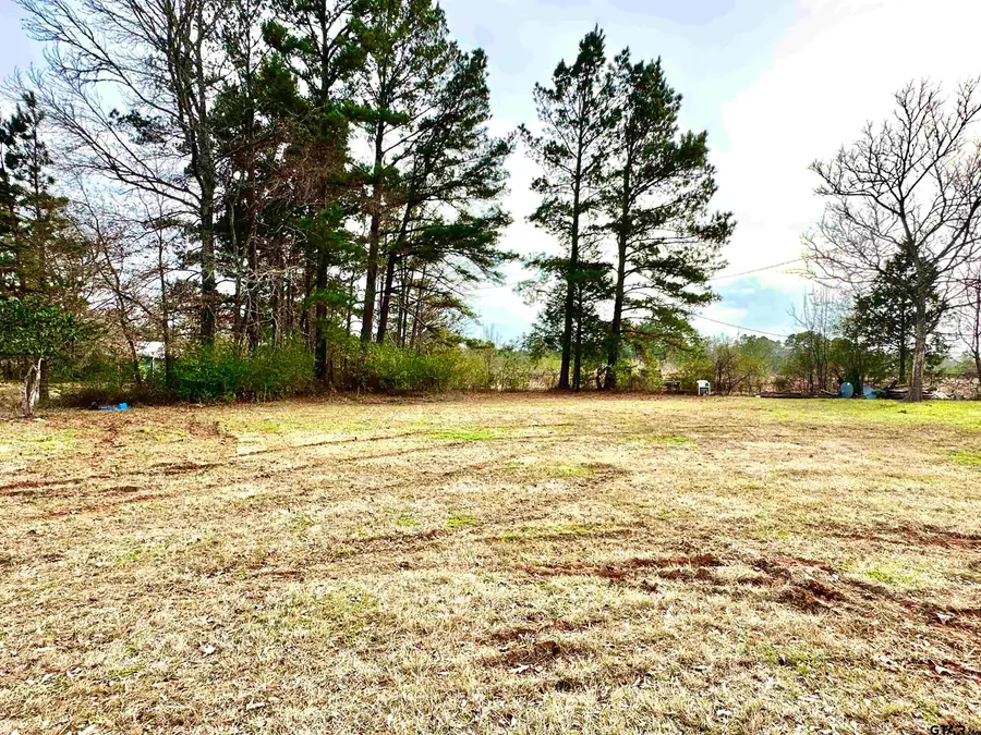 TBD CR 2154, Troup, TX 75789 - #3