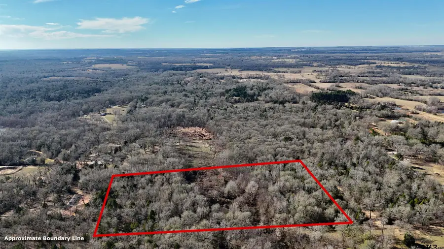 TBD CR 3801, Athens, TX 75752 - Image #2