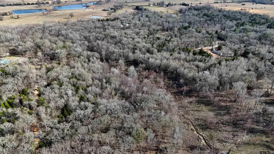 TBD CR 3801, Athens, TX 75752 - Image #3