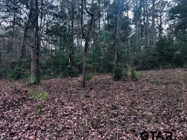 6550 FM 2274 N, Jacksonville, TX 75766 - Image #2