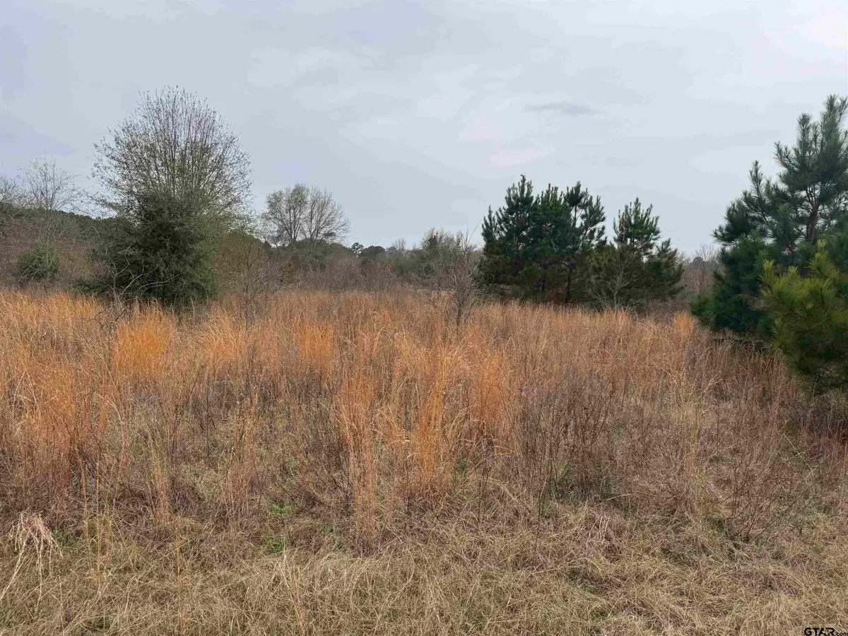 1335 San Saba, Bullard, TX 75757 - Image #1