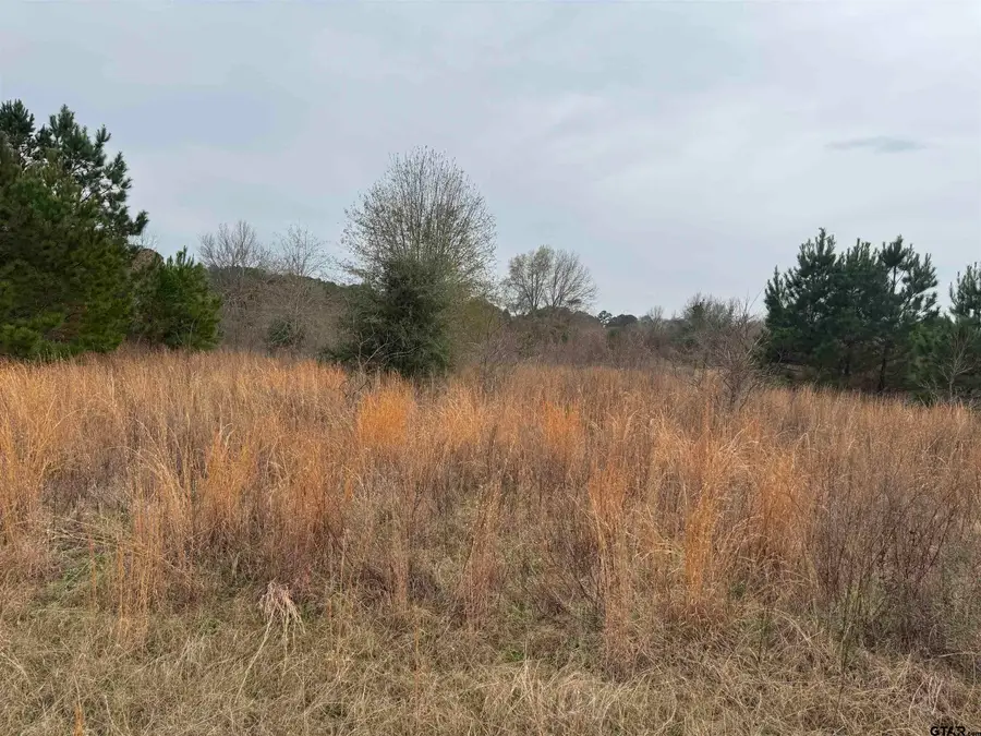 1335 San Saba, Bullard, TX 75757 - Image #2