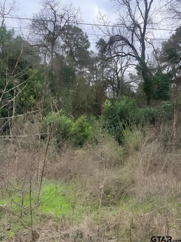 22781 Dogwood Trail, Flint, TX 75762