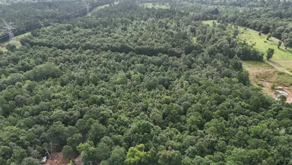 TBD Highway 135 S, Overton, TX 75684