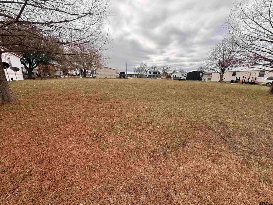 0000 Holiday Village Dr lots 93 and 94, Quitman, TX 75783 - Image #3