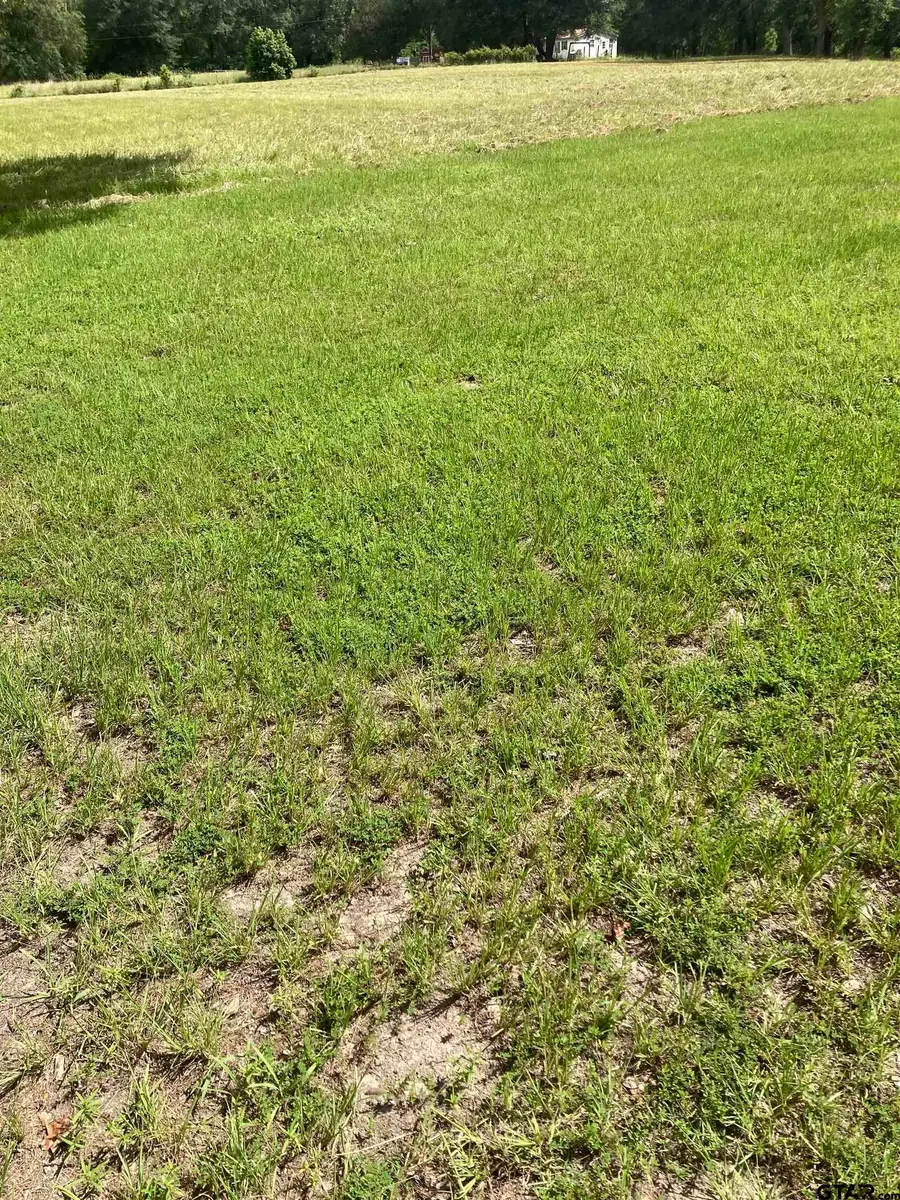 14350 CR 426, Lindale, TX 75771 - #3