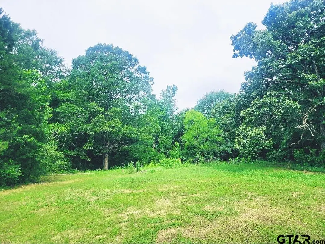 22473 FM 2208, Harleton, TX 75651 - #1