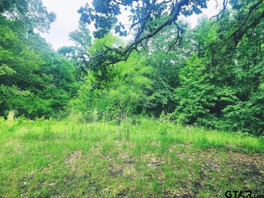 22473 FM 2208, Harleton, TX 75651 - #3