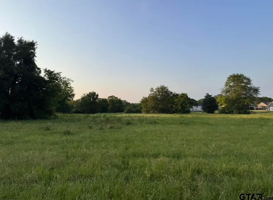 TBD Billy Daniel St, Mount Pleasant, TX 75455 - #2