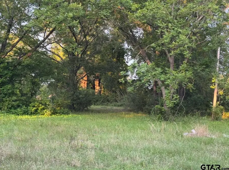 TBD Billy Daniel St, Mount Pleasant, TX 75455 - #2