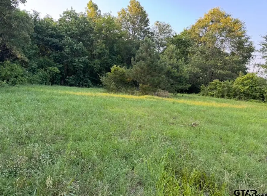 TBD Billy Daniel St, Mount Pleasant, TX 75455 - #3