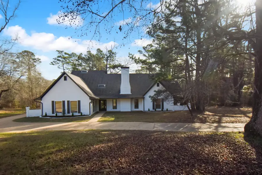 18919 Forest Ln, Flint, TX 75762 - #2