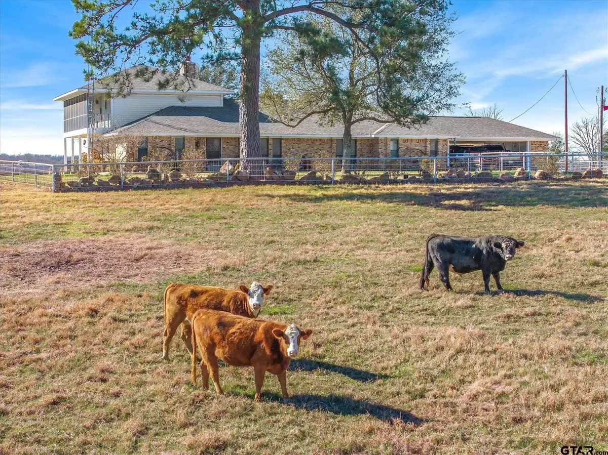 1700 Fm 1995, Van, TX 75790 - #1