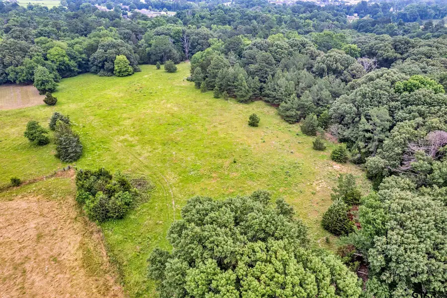 15000 CR 472, Tyler, TX 75706 - Image #3