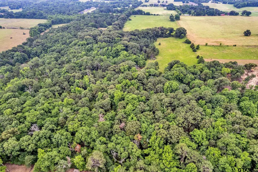 15000 CR 472, Tyler, TX 75706 - Image #3