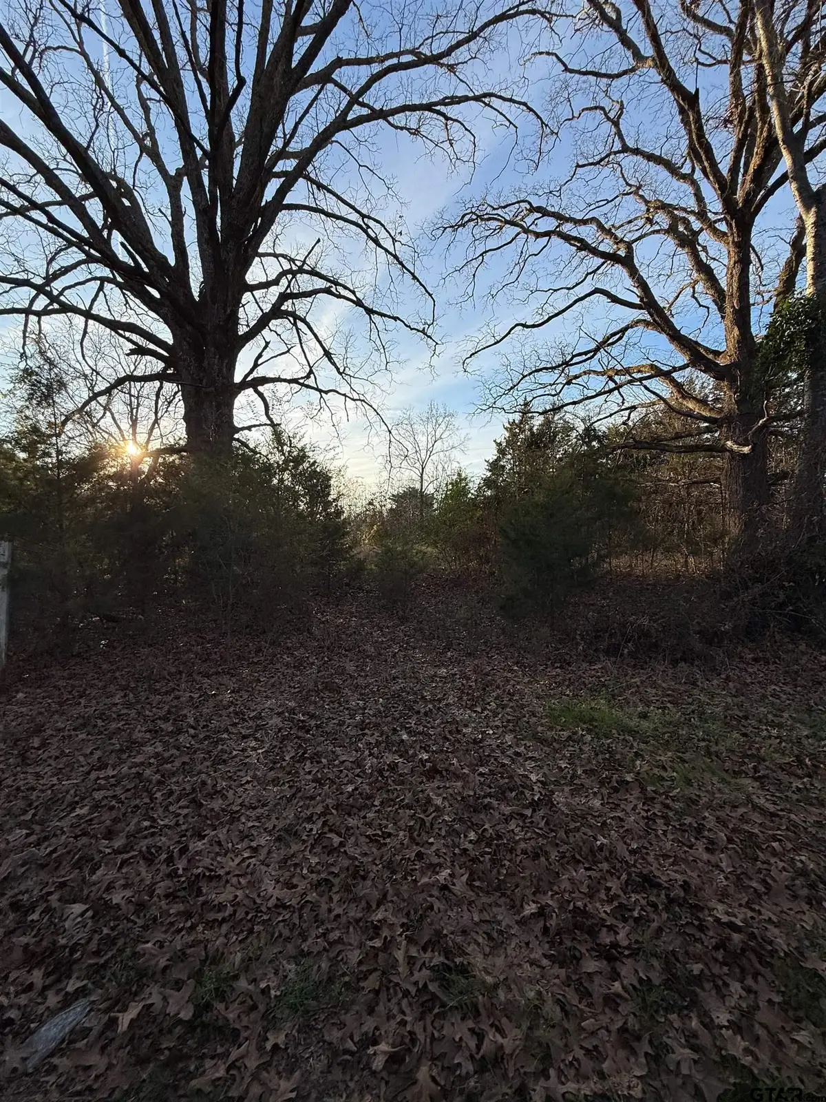 TBD County Road 4950, Pittsburg, TX 75686 - #1