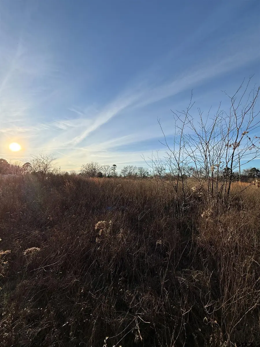 TBD County Road 4950, Pittsburg, TX 75686 - #2
