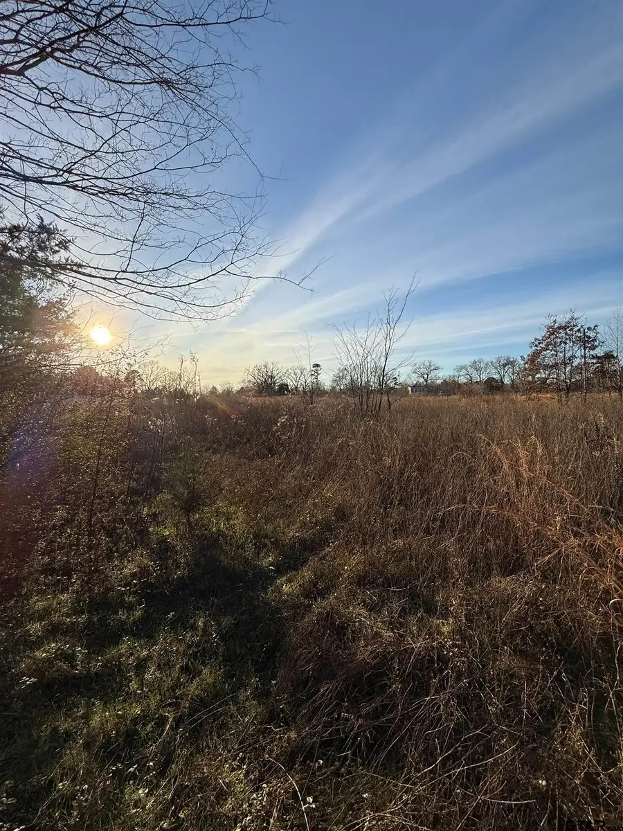 TBD County Road 4950, Pittsburg, TX 75686 - #3