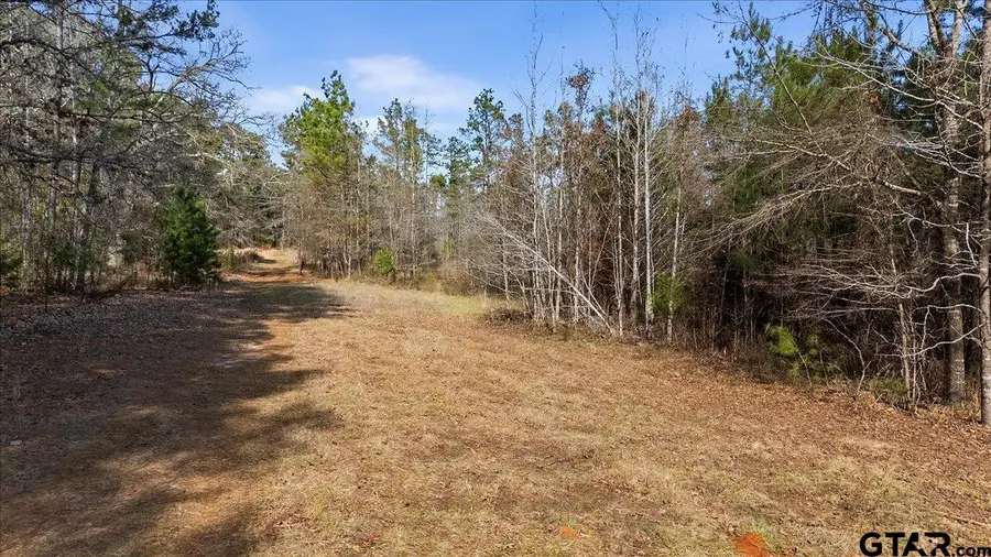 TBD HIGHWAY 135, Troup, TX 75789 - #2