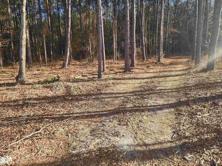 TBD CR 4313 lot 6, Pittsburg, TX 75686 - Image #3