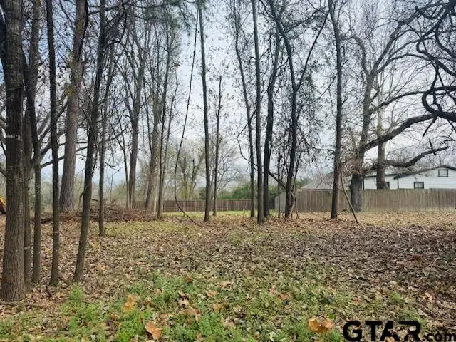 1002 N Hamlett St., Athens, TX 75751 - #1