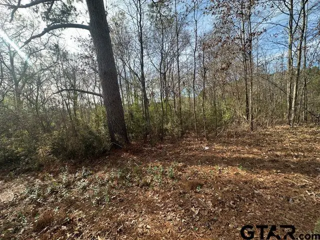 TBD CR 286, Garrison, TX 75946 - #3