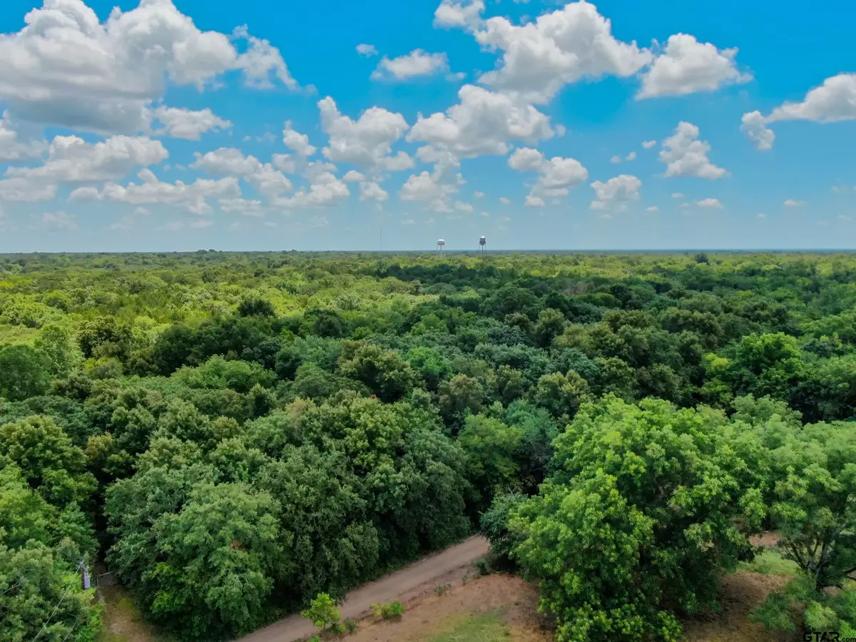 TBD Shelby Lane, Ladonia, TX 75449 - #1