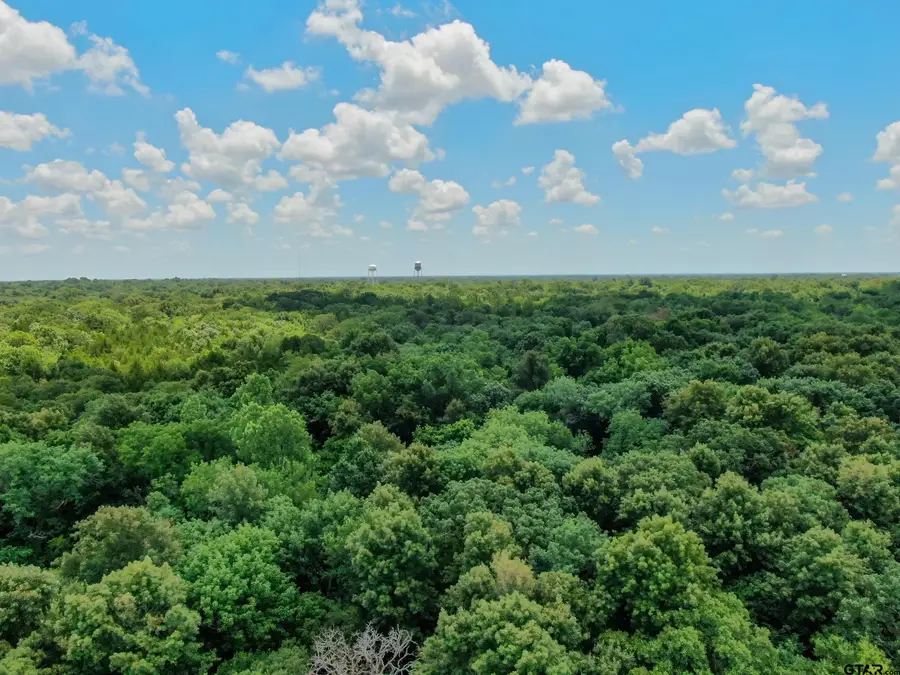 TBD Shelby Lane, Ladonia, TX 75449 - #2