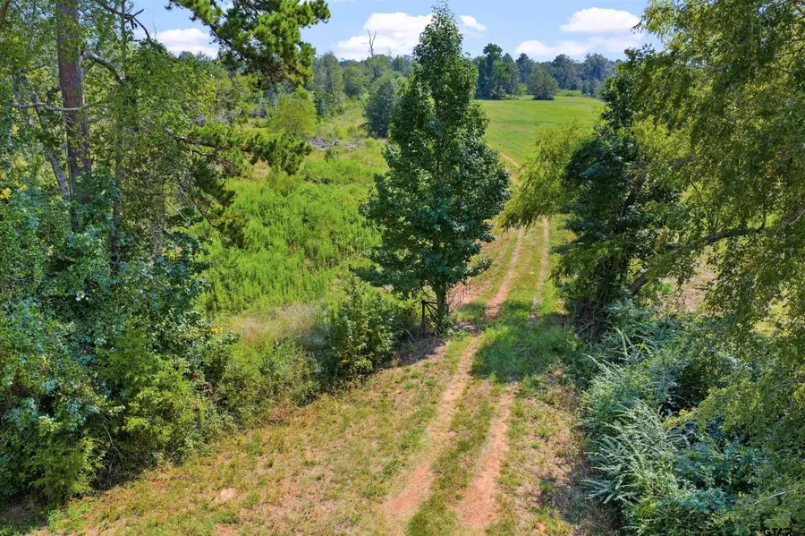 TBD FM 1798, Mount Enterprise, TX 75681 - #2