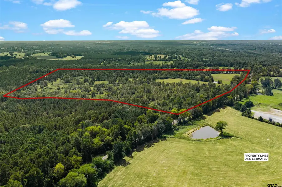 TBD FM 1798, Mount Enterprise, TX 75681 - #3