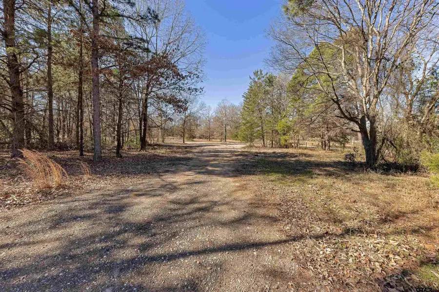 1884 SE CR 4350, Scroggins, TX 75480 - #2